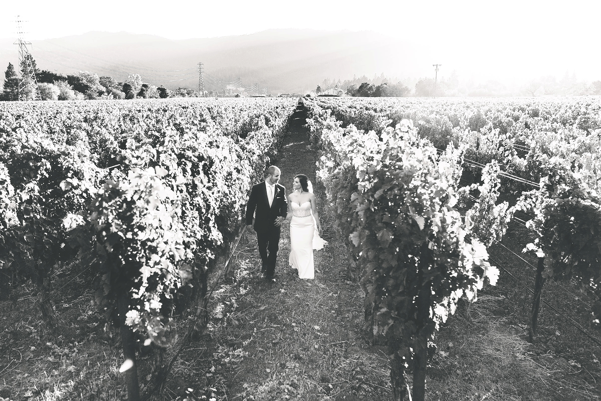 Napa Valley Saint Helena Vineyard Destination Elopement Wedding California